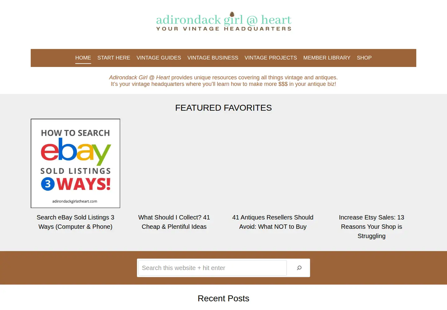 Screenshot of adirondackgirlatheart.com