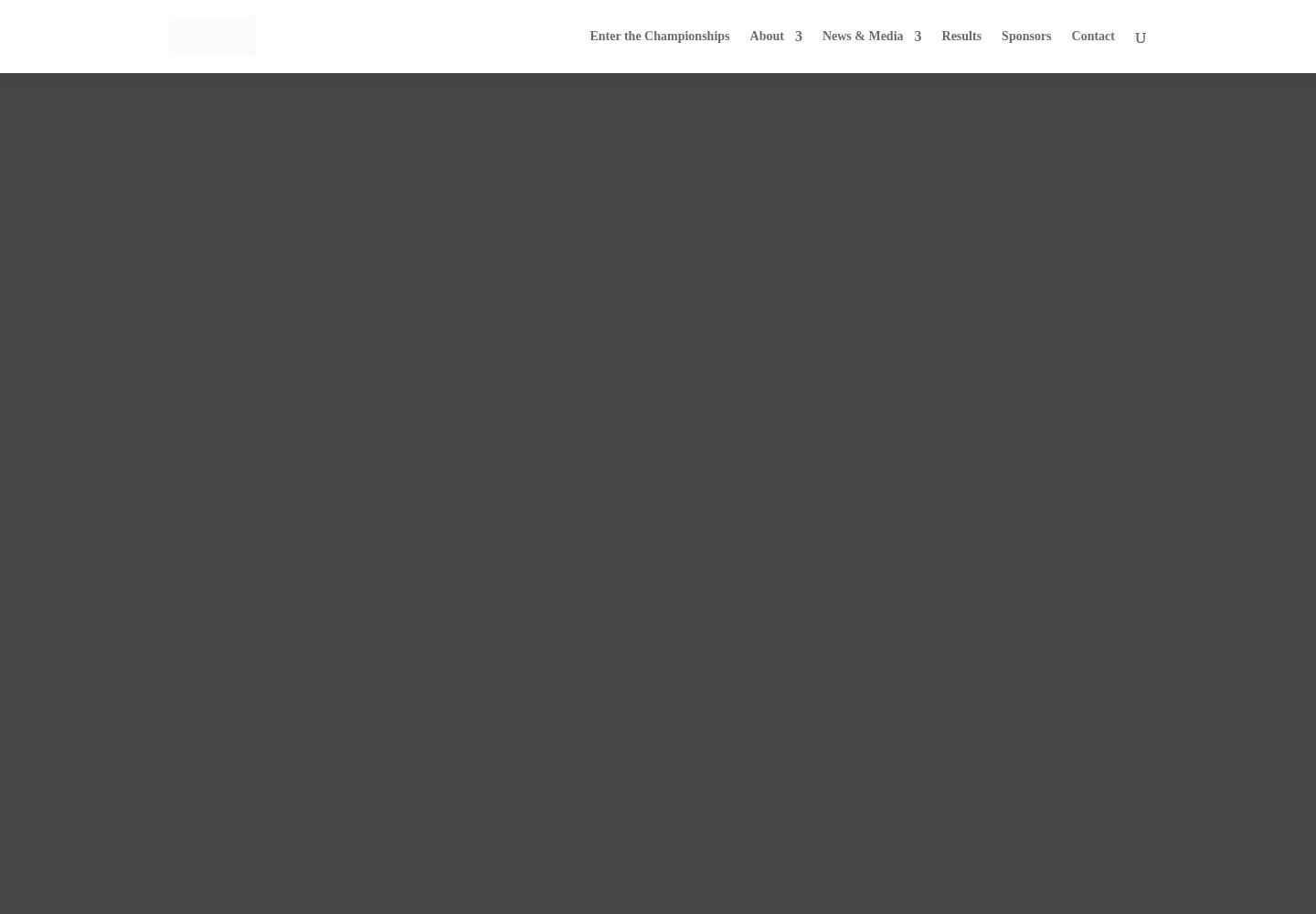 Captured homepage of stoneskimming.com in the current scan