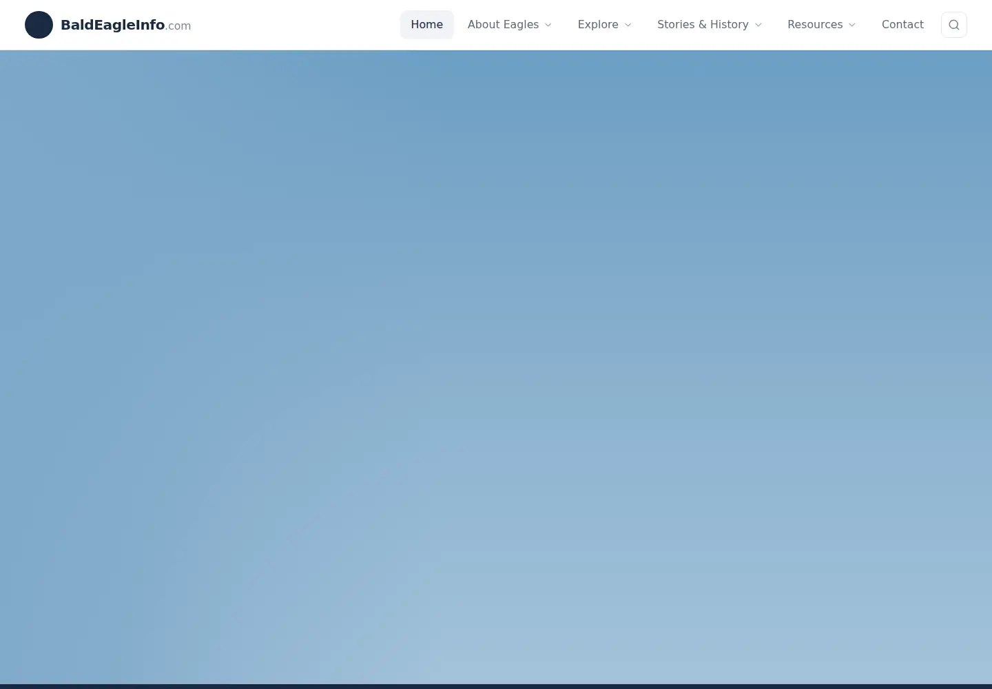Screenshot of baldeagleinfo.com