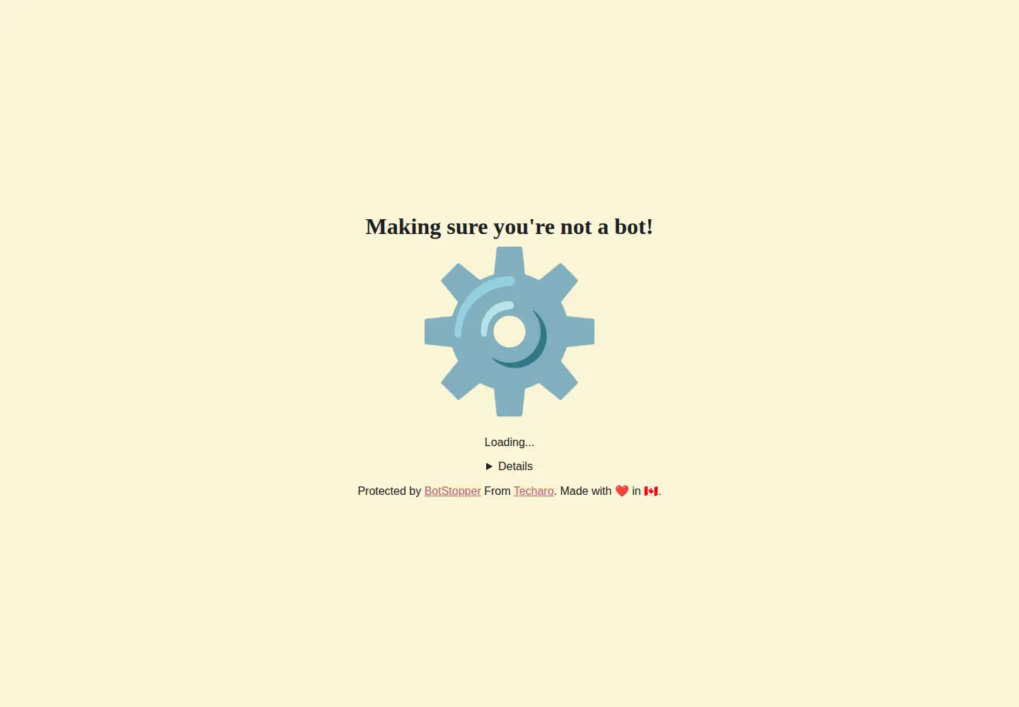 Captured homepage of bild-lida.ca in the current scan