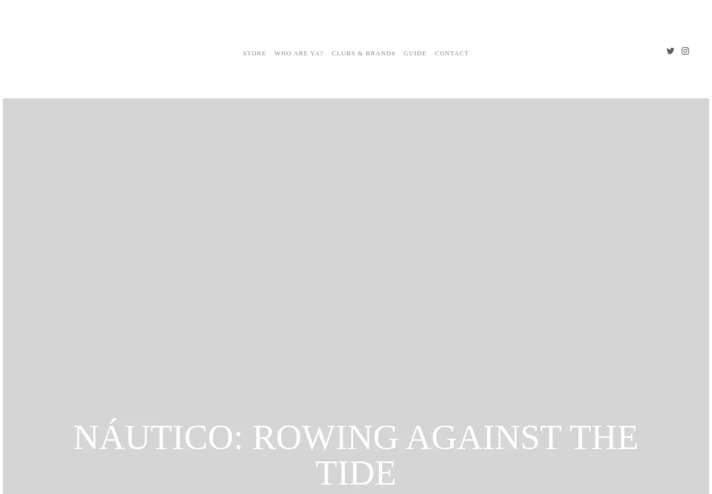 Screenshot of terraceedition.com