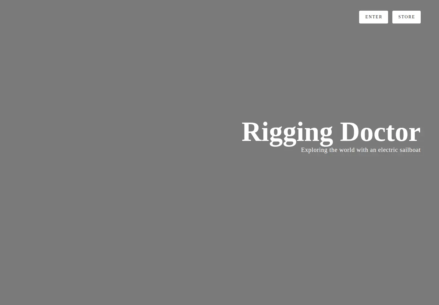 Captured homepage of riggingdoctor.com in the current scan