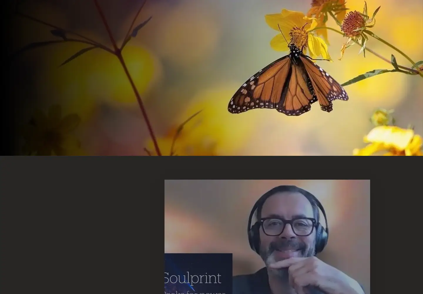 Screenshot of be-benevolution.com
