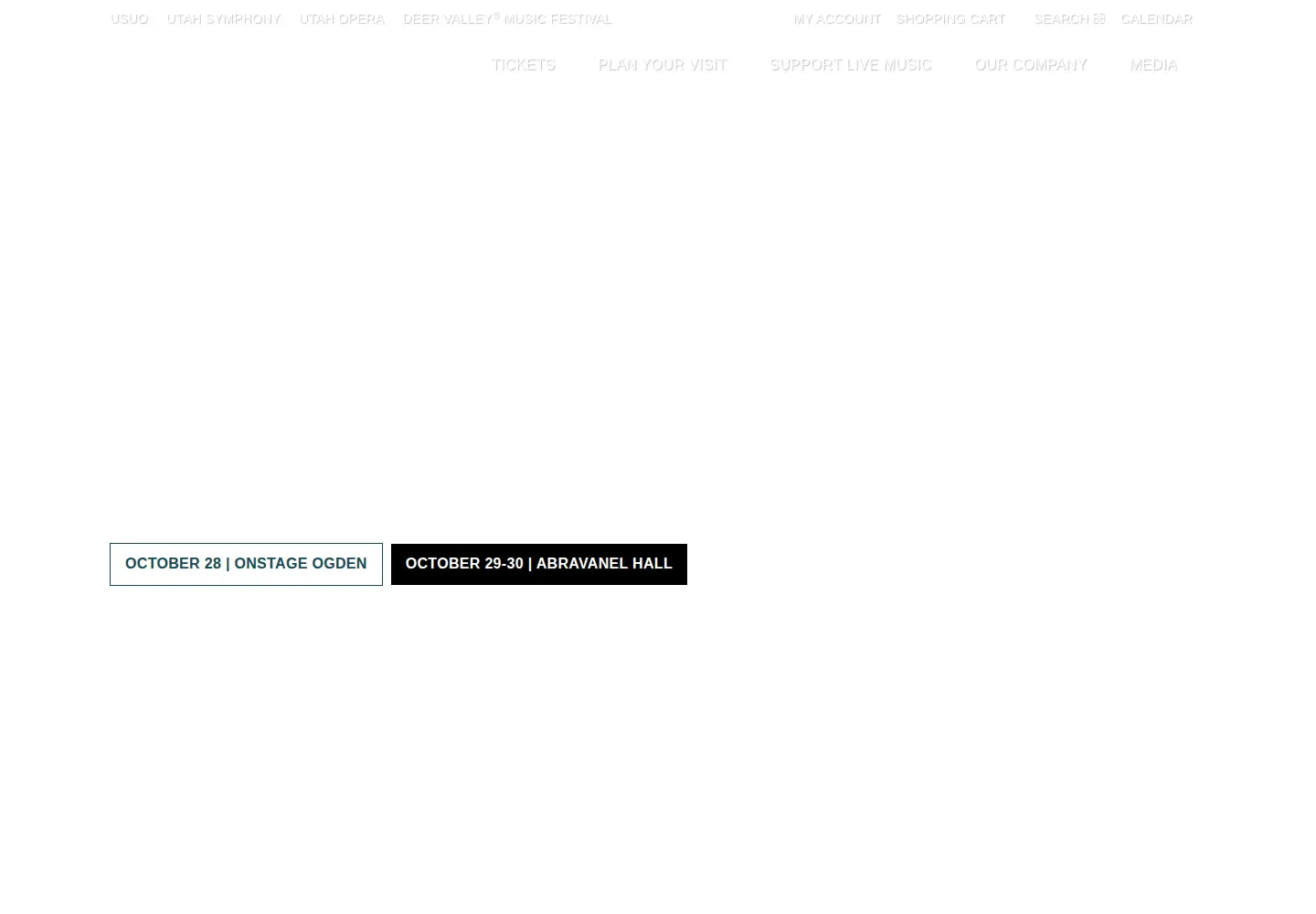 Captured homepage of usuo.org in the current scan