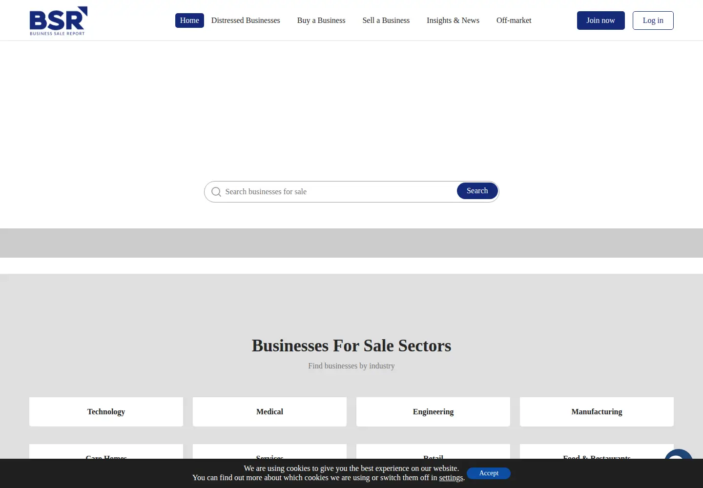 Captured homepage of business-sale.com in the current scan