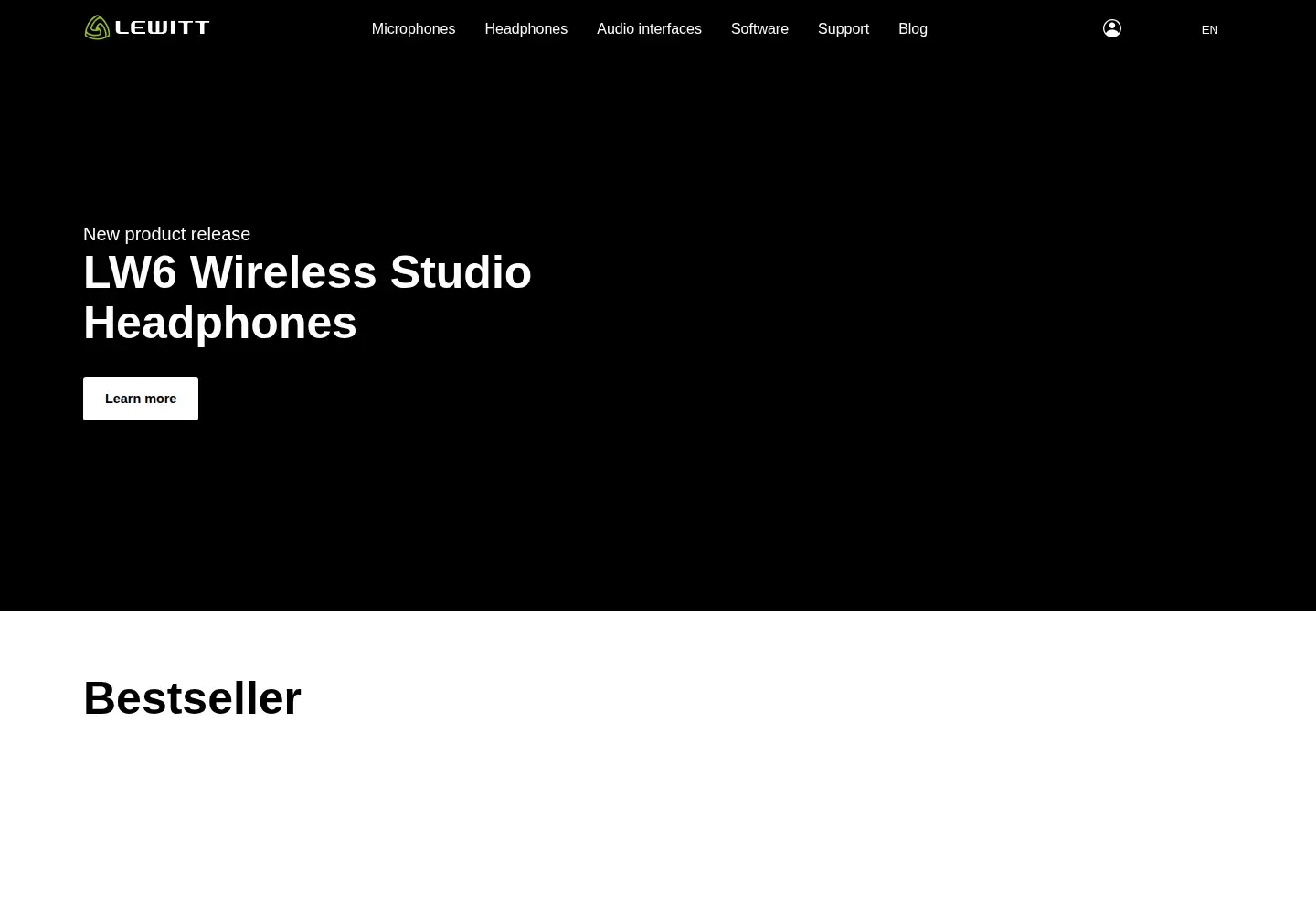 Captured homepage of lewitt-audio.com in the current scan
