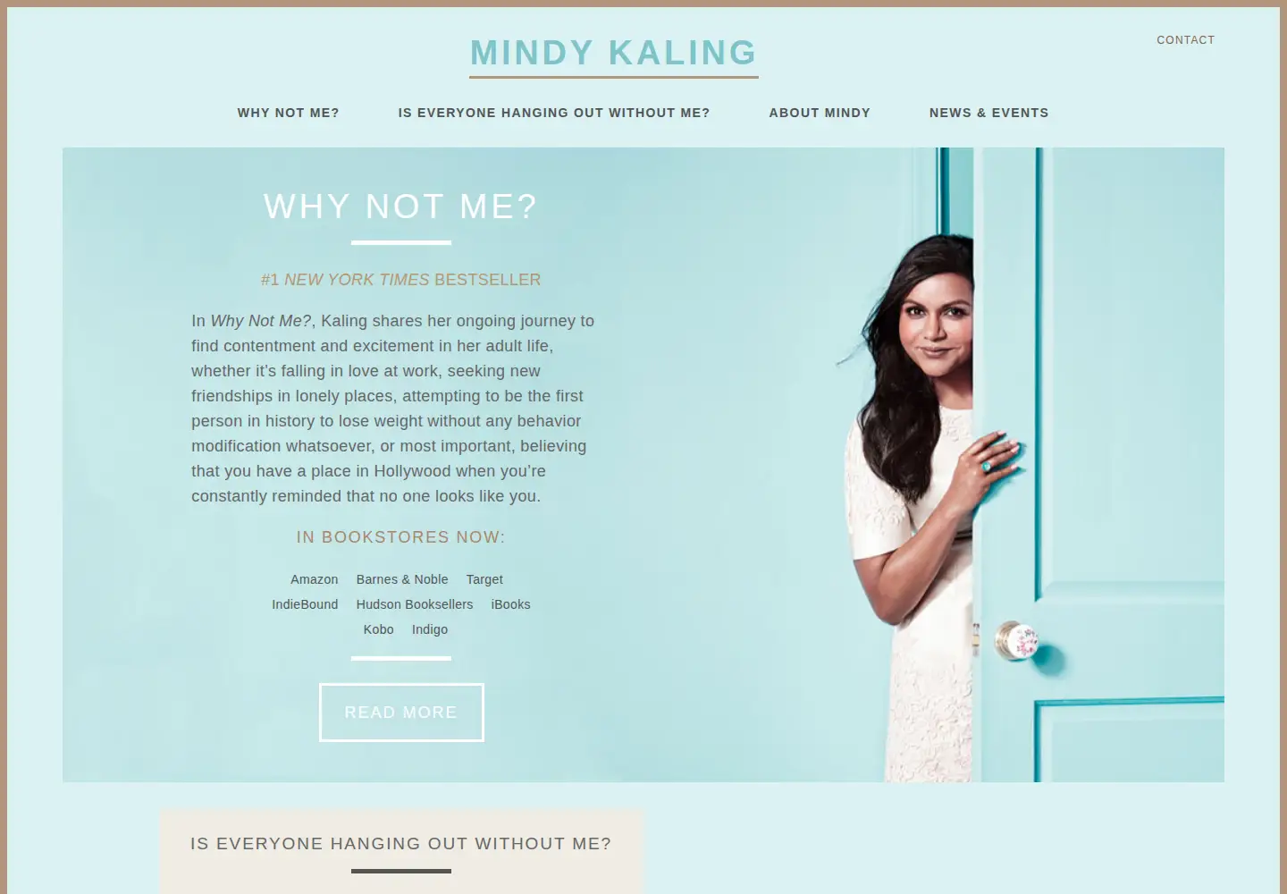 Captured homepage of theconcernsofmindykaling.com in the current scan