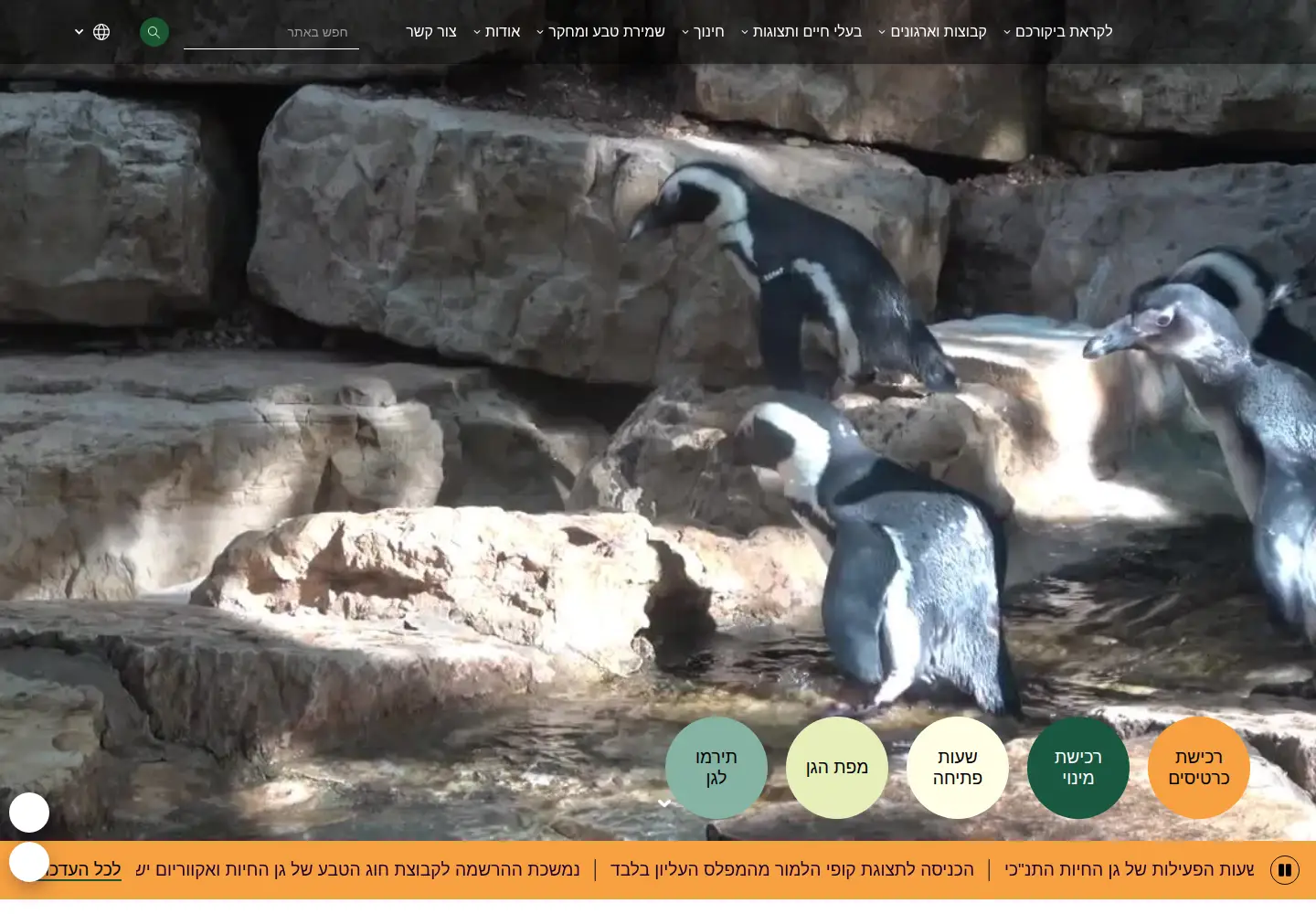 Screenshot of jerusalemzoo.org.il