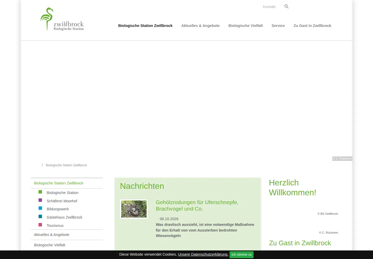 Captured homepage of bszwillbrock.de in the current scan