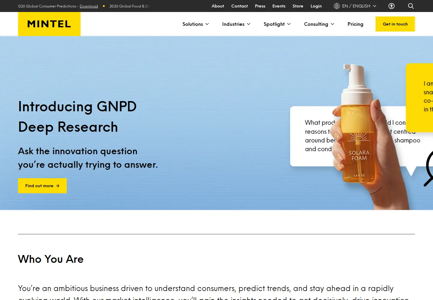 Screenshot of mintel.com
