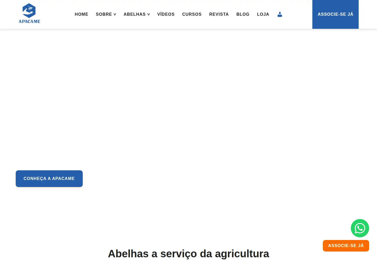 Screenshot of apacame.org.br