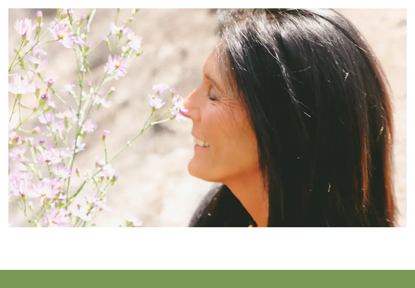 Screenshot of drlowdog.com