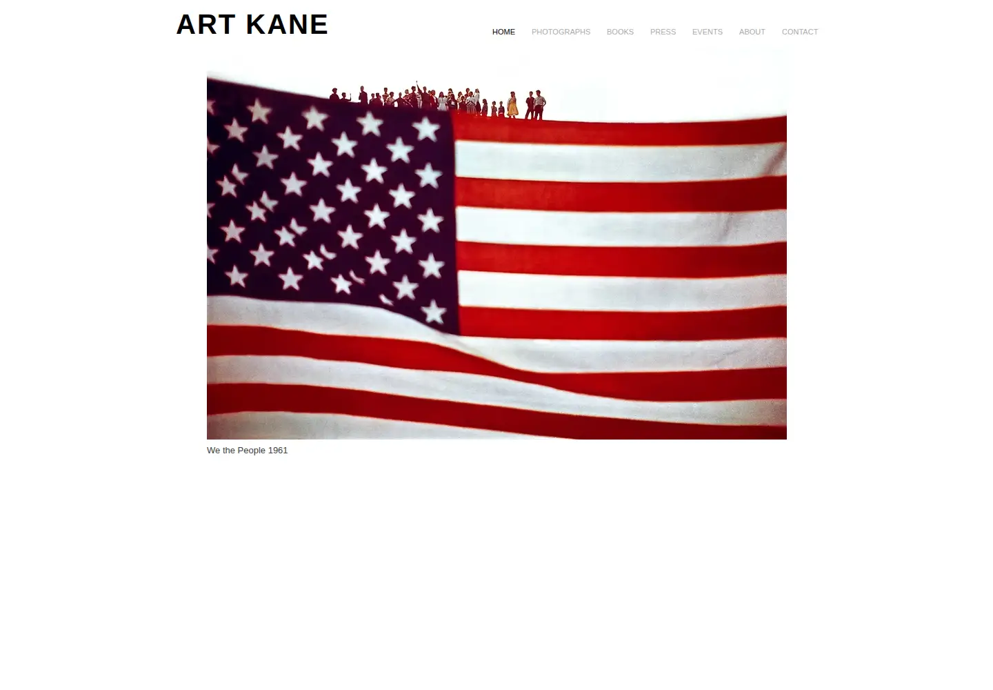 Captured homepage of artkane.com in the current scan