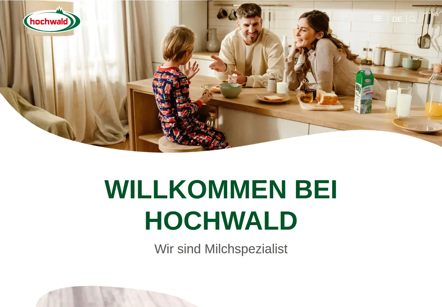 Screenshot of hochwald.de