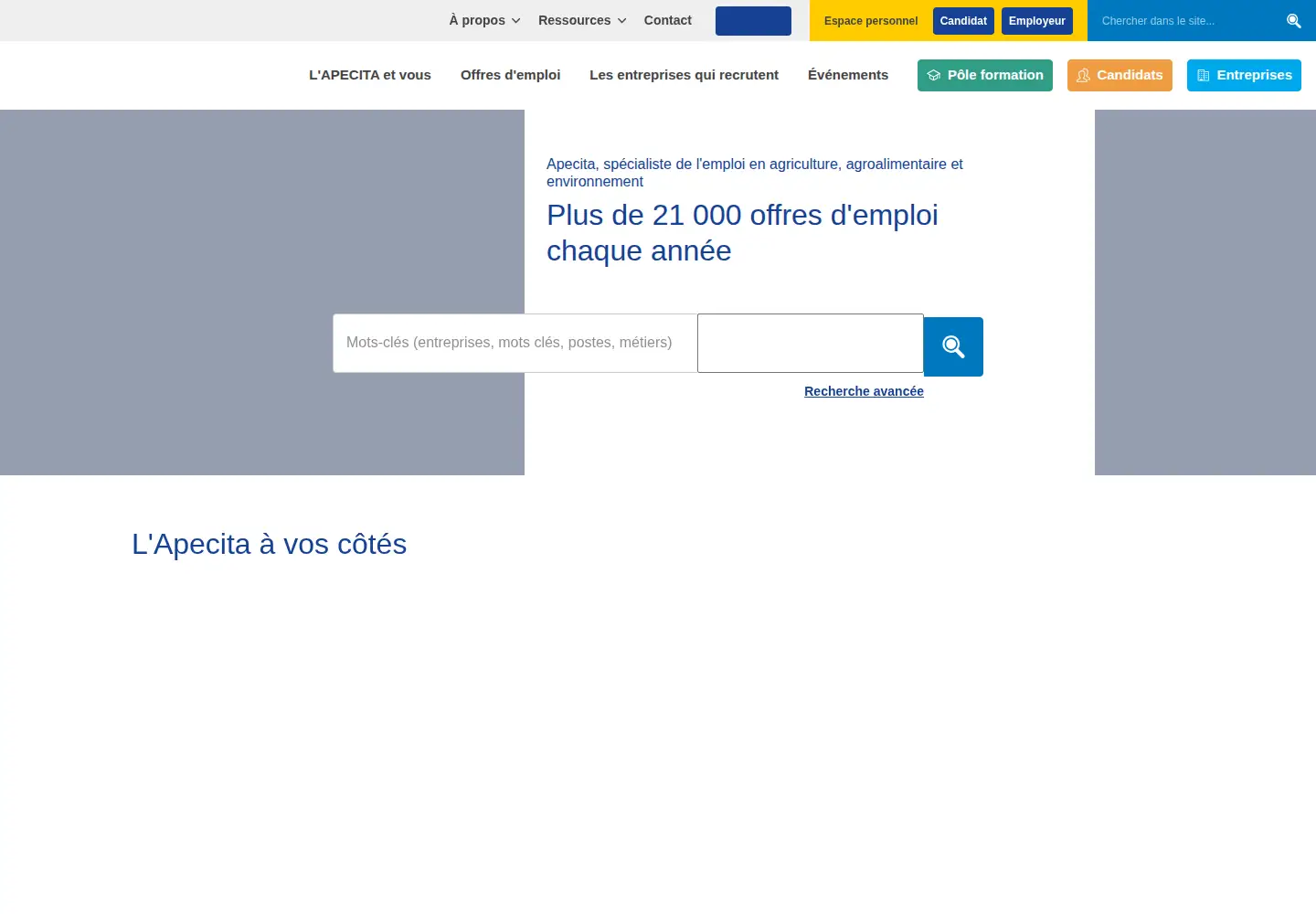 Captured homepage of apecita.com in the current scan