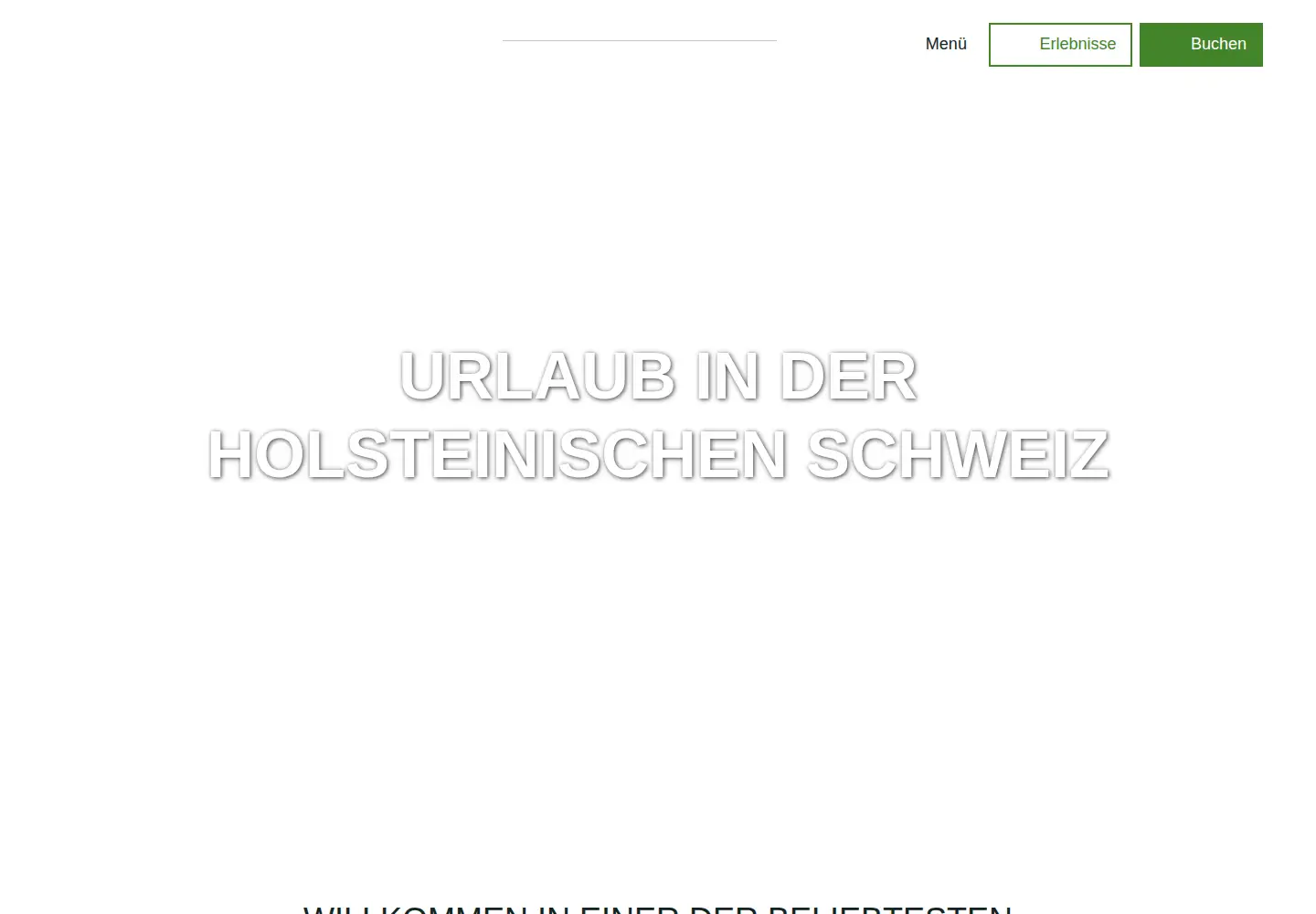Screenshot of holsteinischeschweiz.de