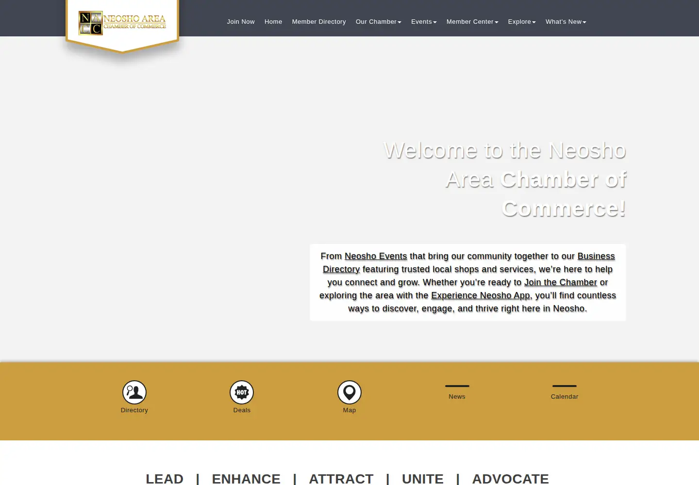 Screenshot of neoshocc.com