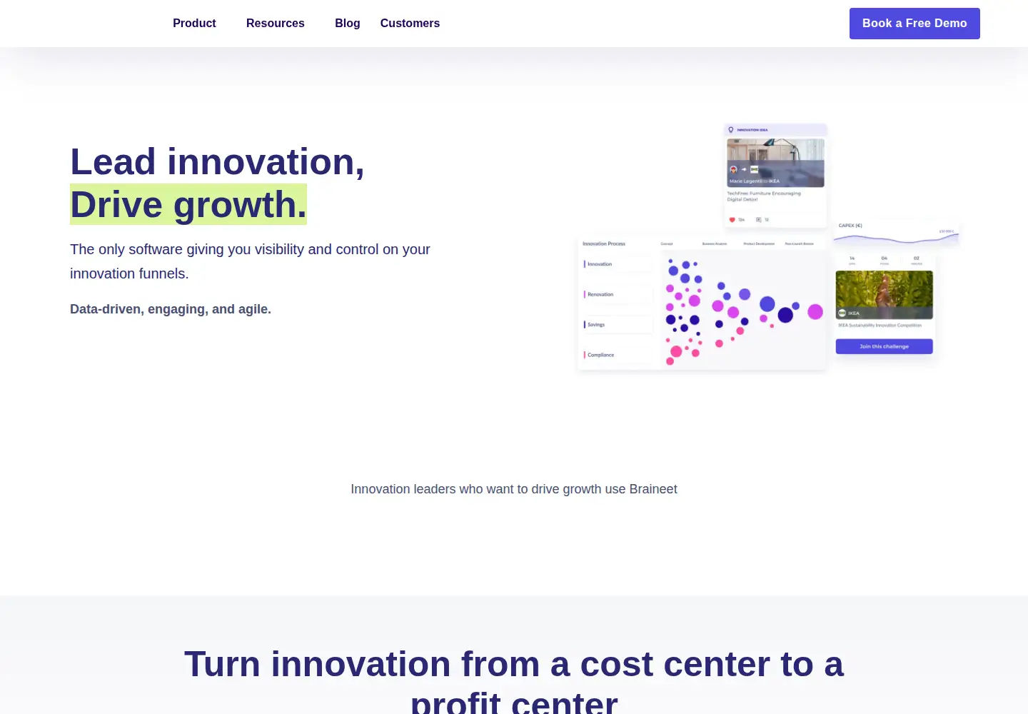 Captured homepage of braineet.com in the current scan