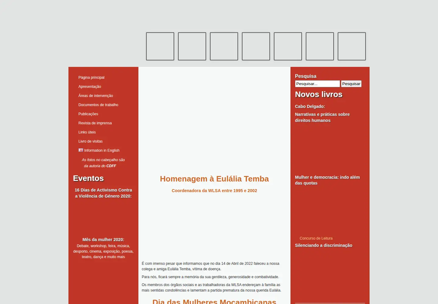 Captured homepage of wlsa.org.mz in the current scan