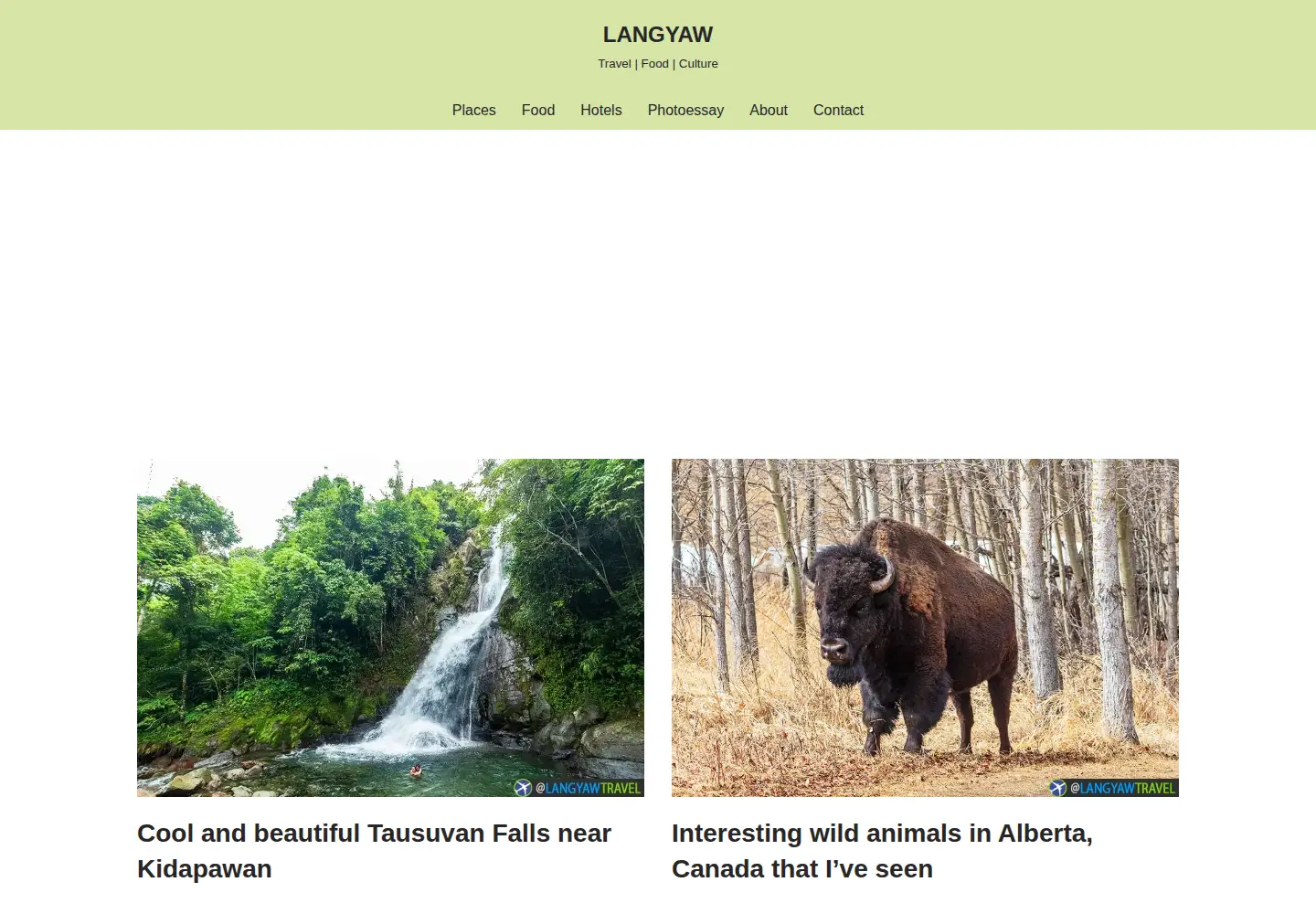 Captured homepage of langyaw.com in the current scan