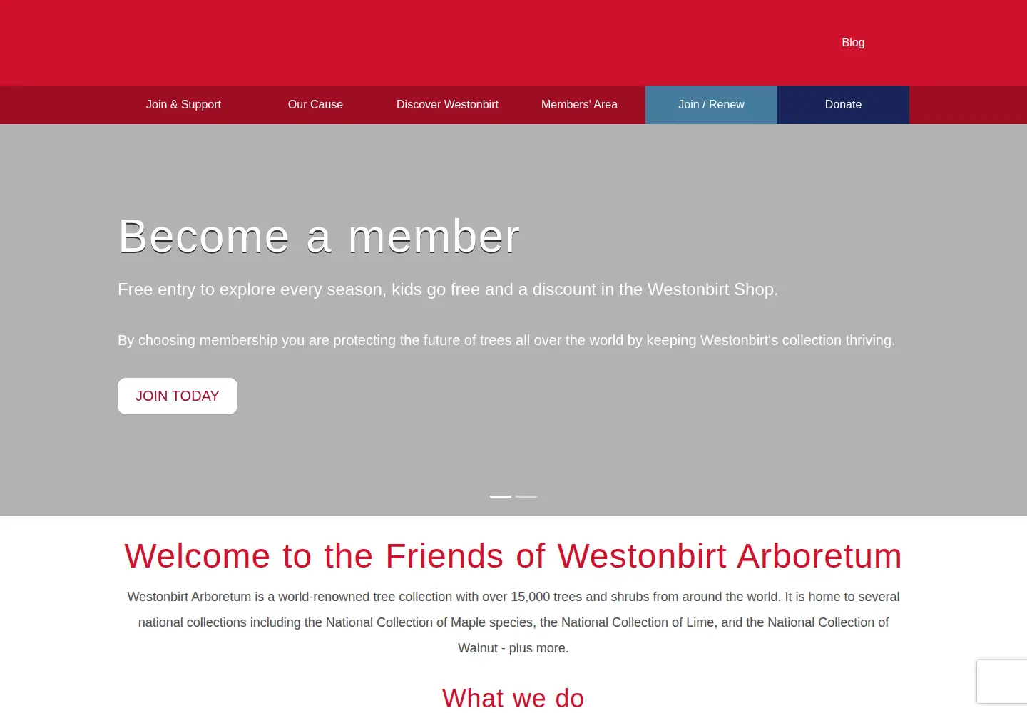 Screenshot of fowa.org.uk
