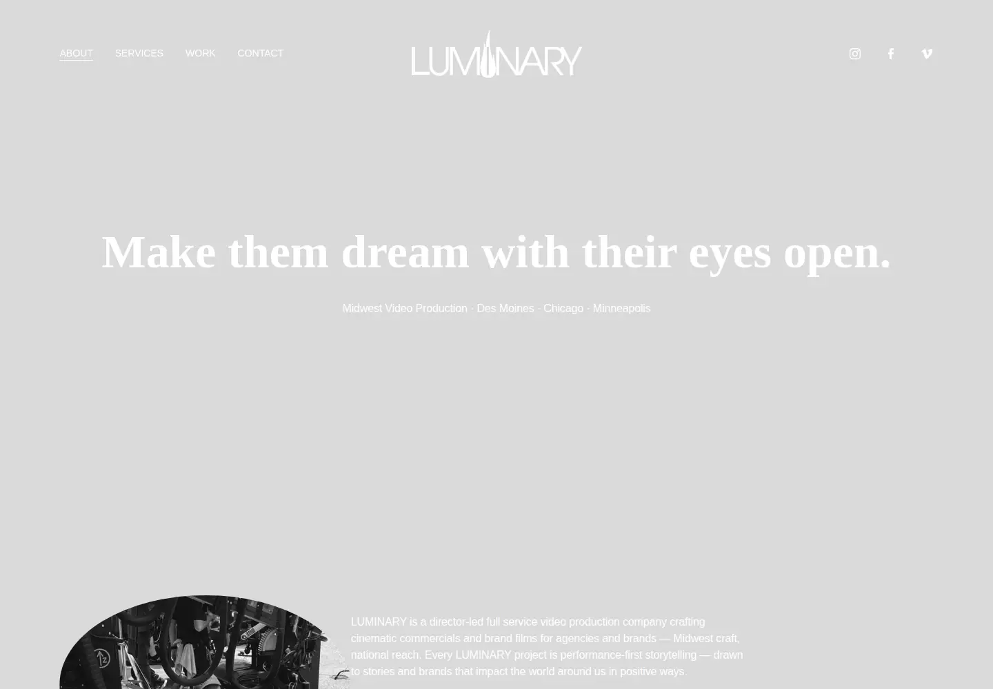 Captured homepage of luminary.us in the current scan