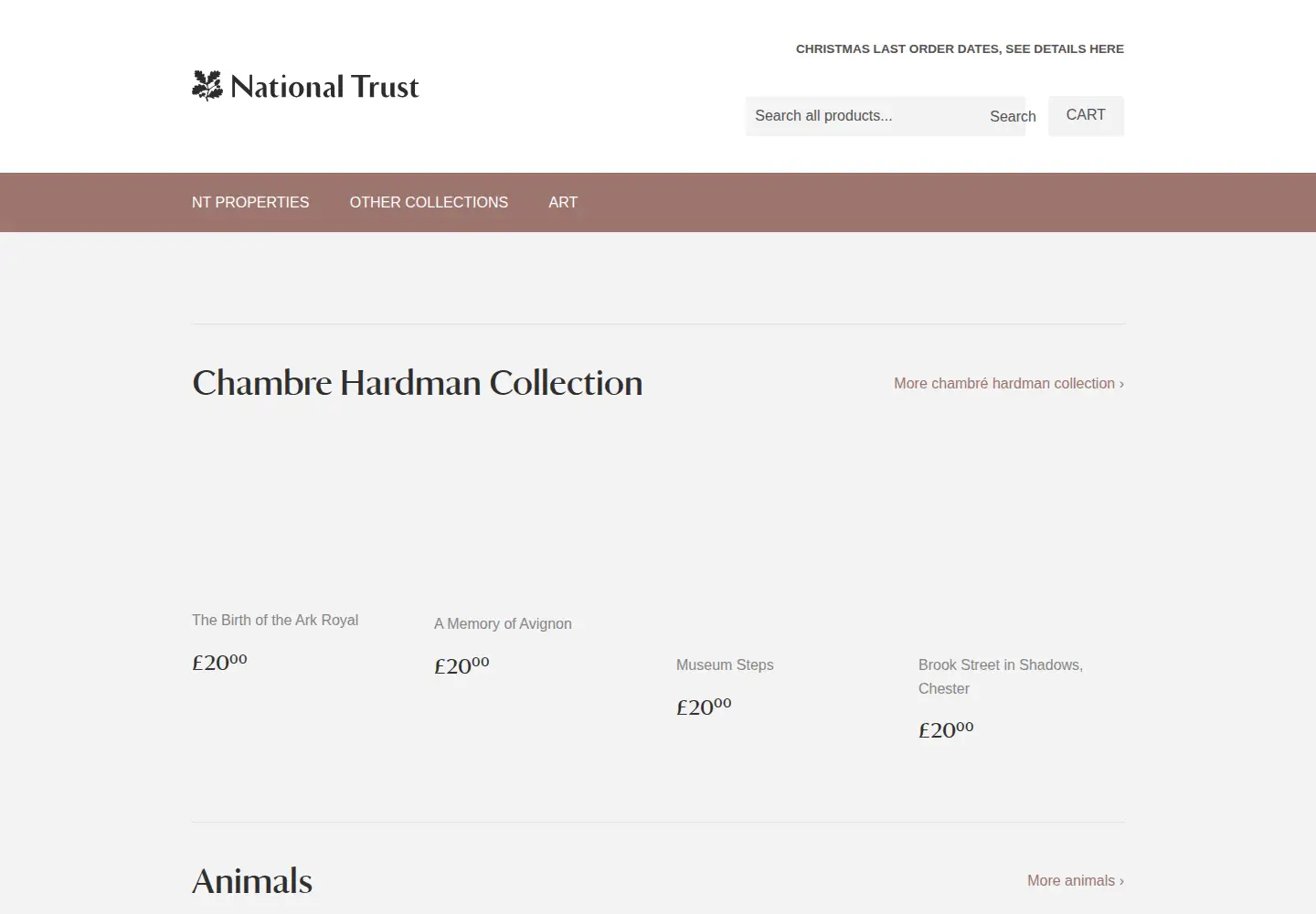 Captured homepage of ntprints.com in the current scan