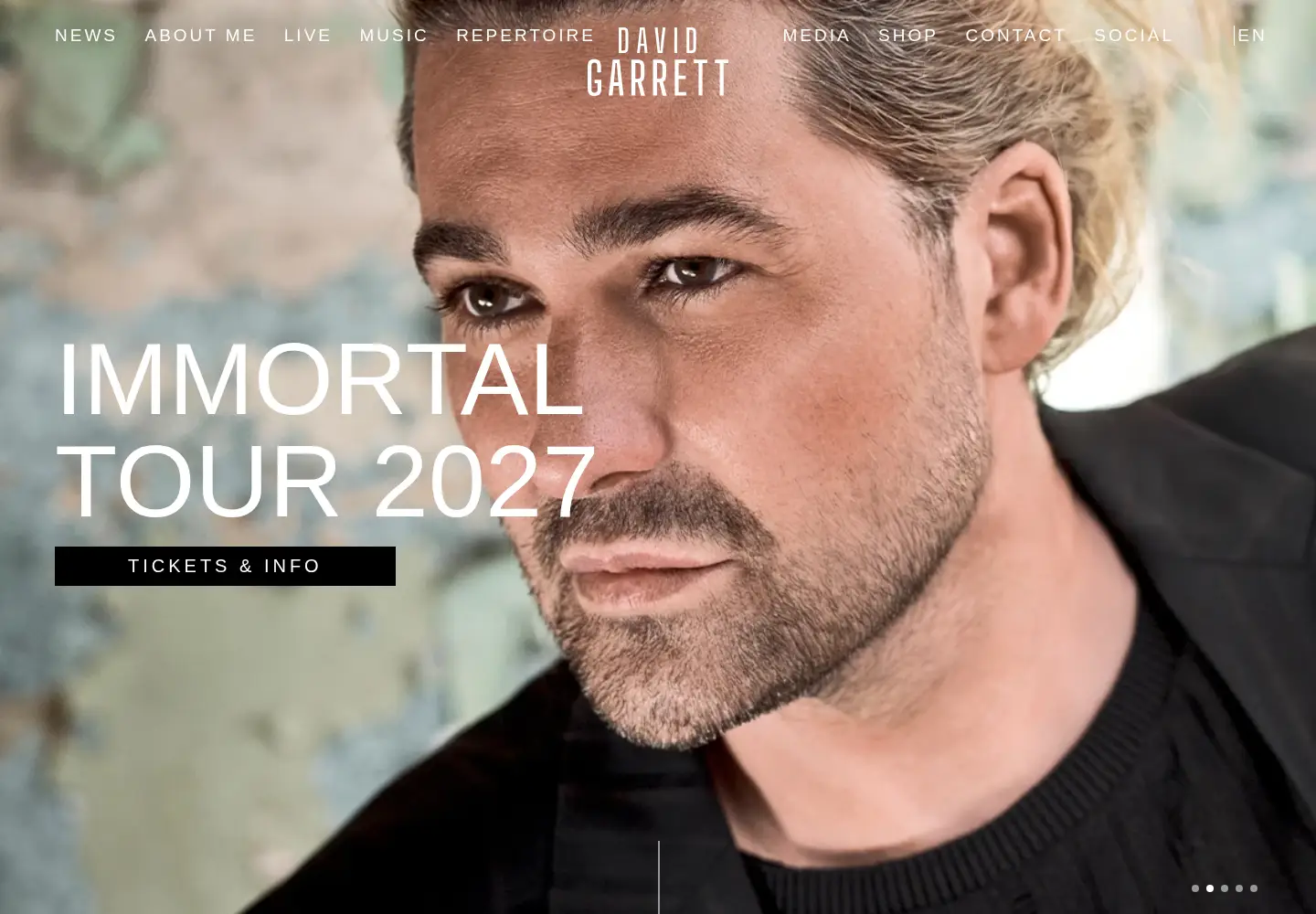 Captured homepage of david-garrett.com in the current scan