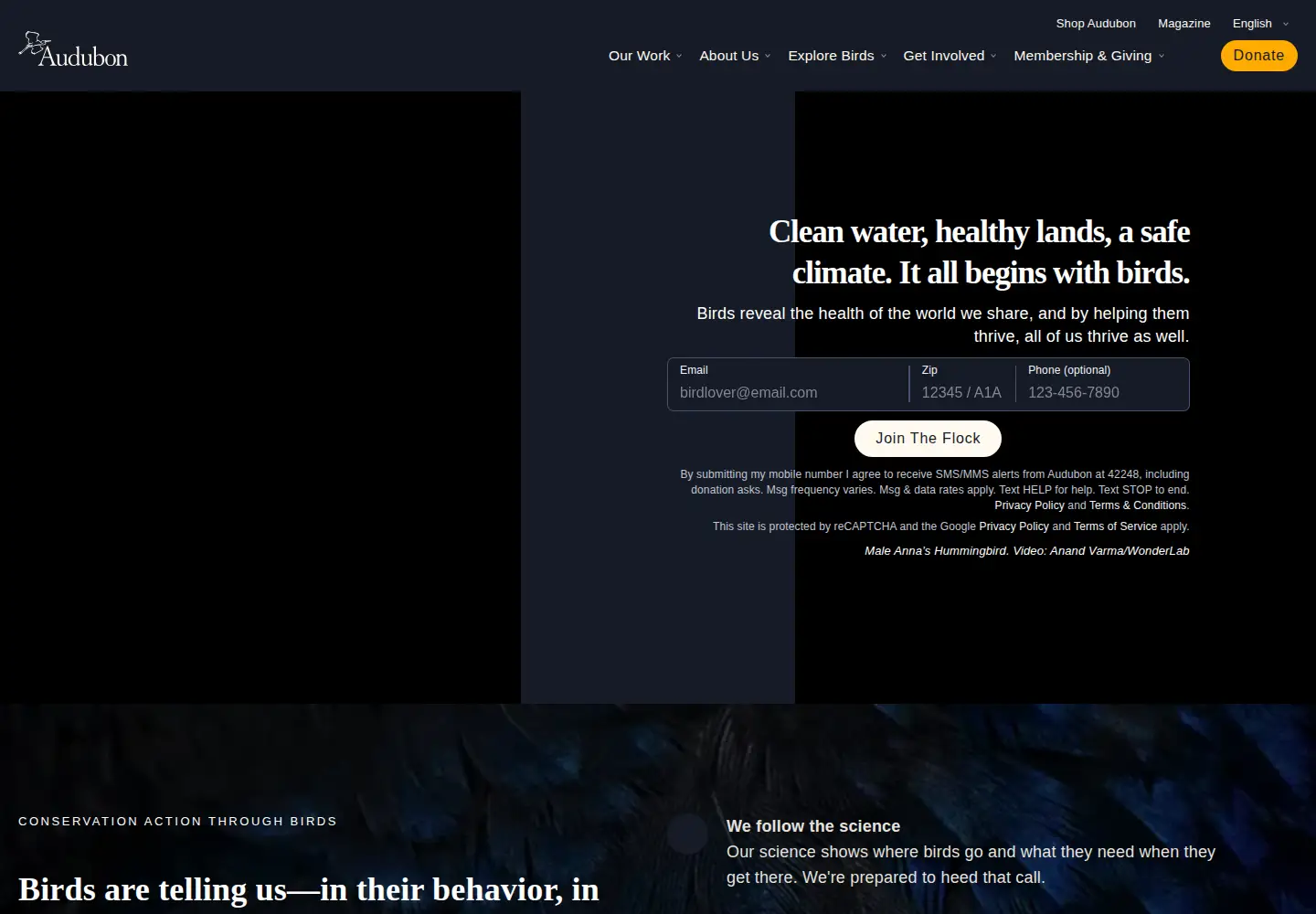 Screenshot of audubon.org