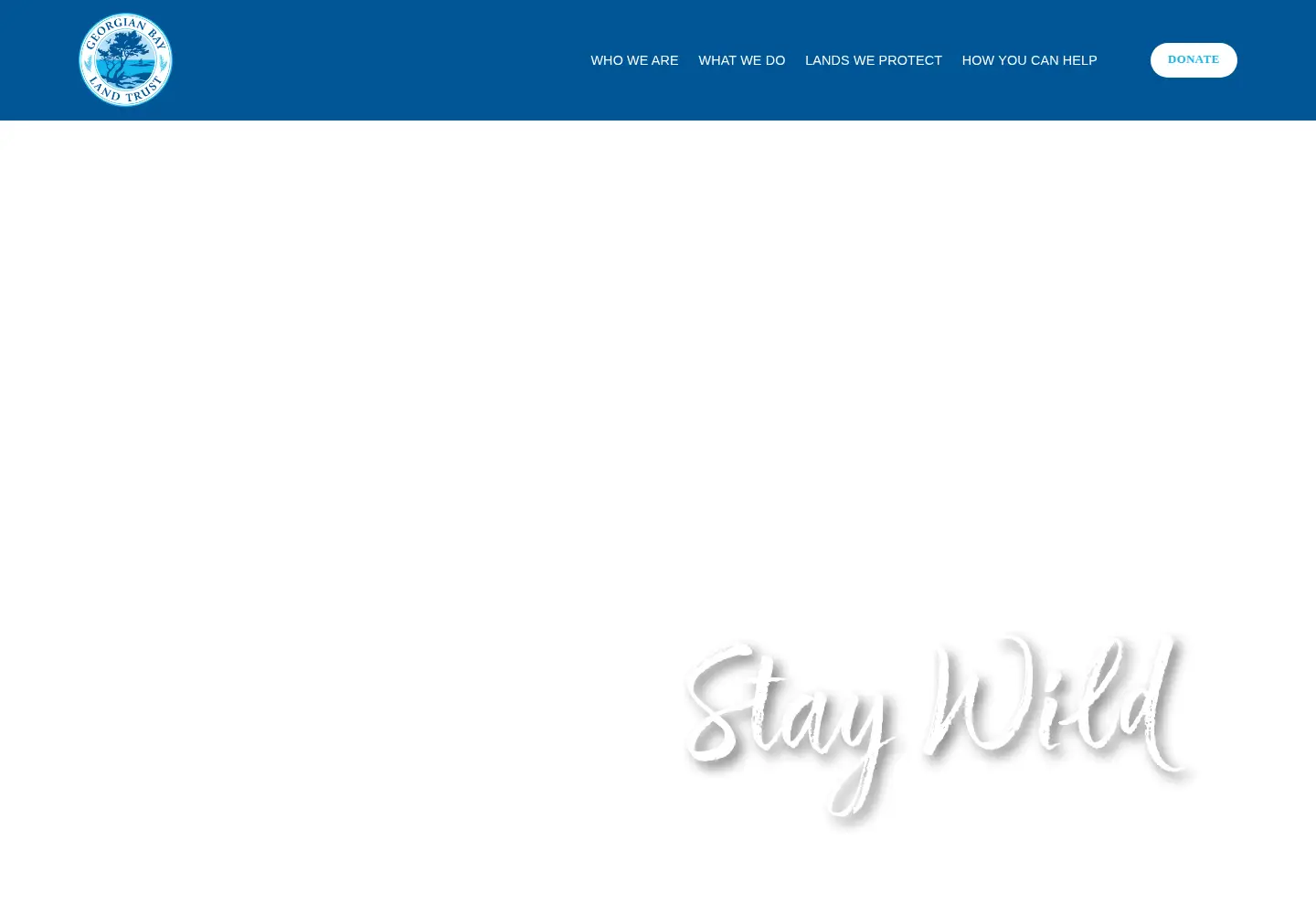 Screenshot of gblt.org