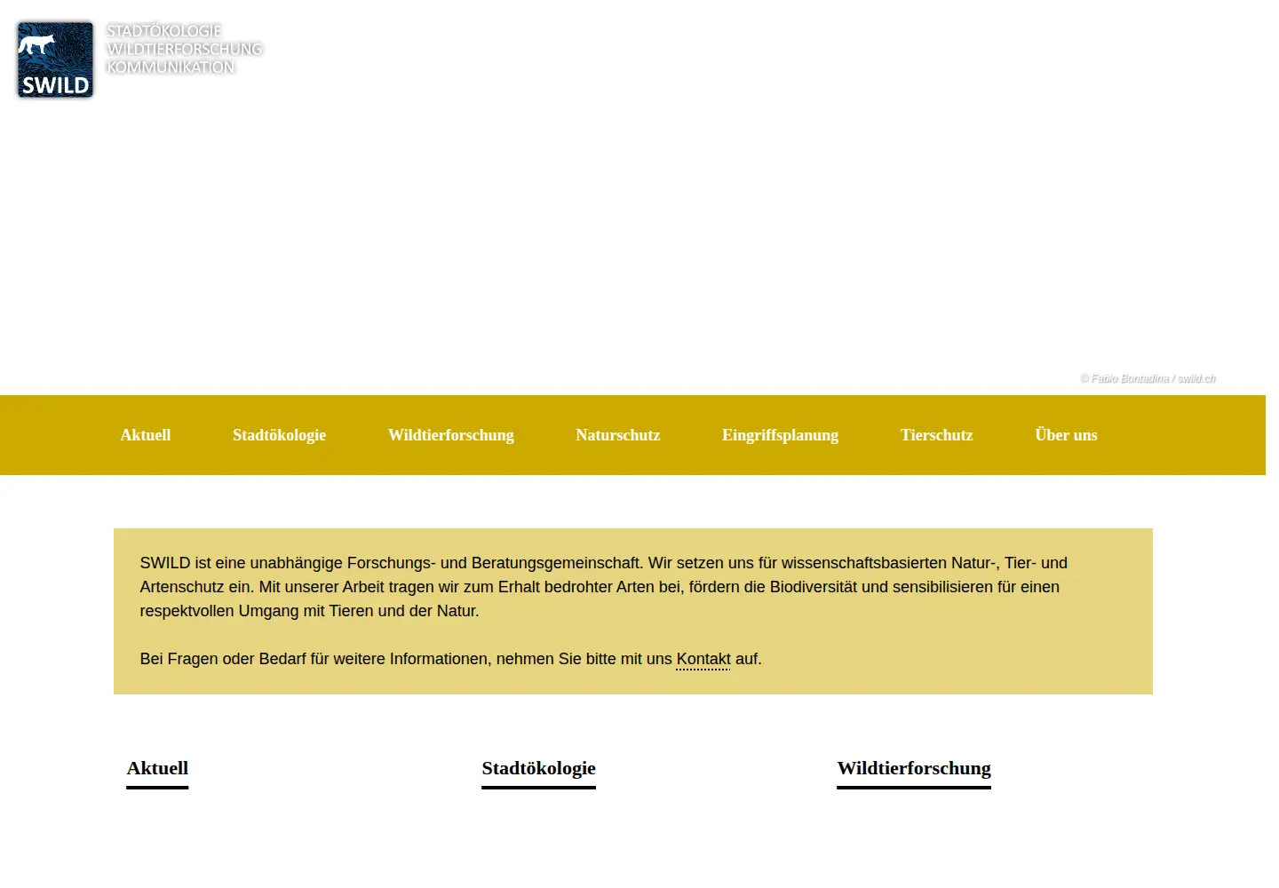 Screenshot of swild.ch