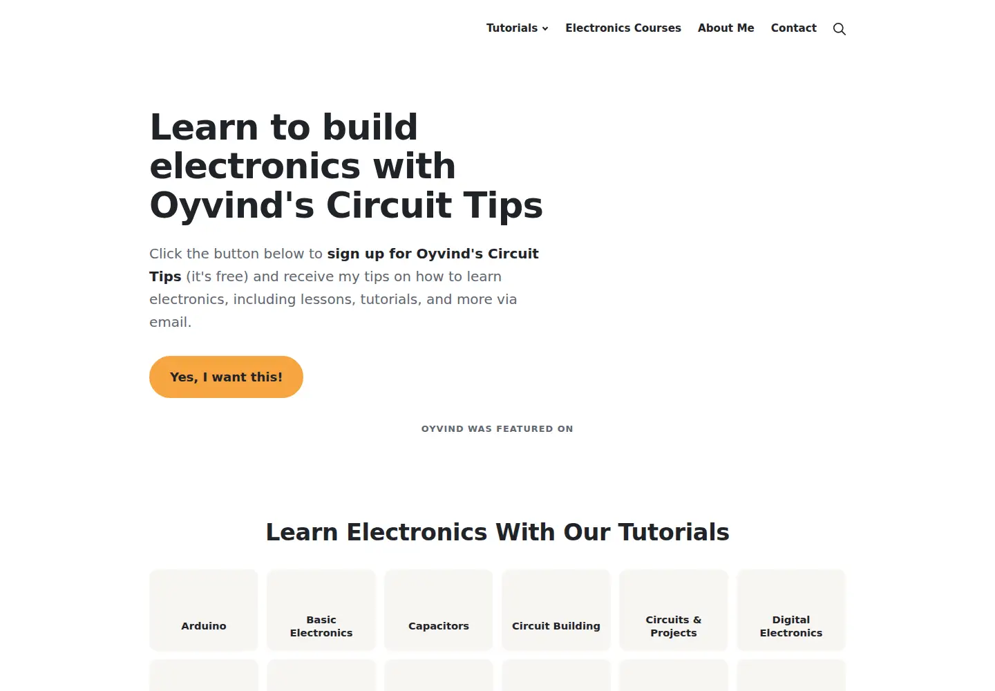Captured homepage of build-electronic-circuits.com in the current scan