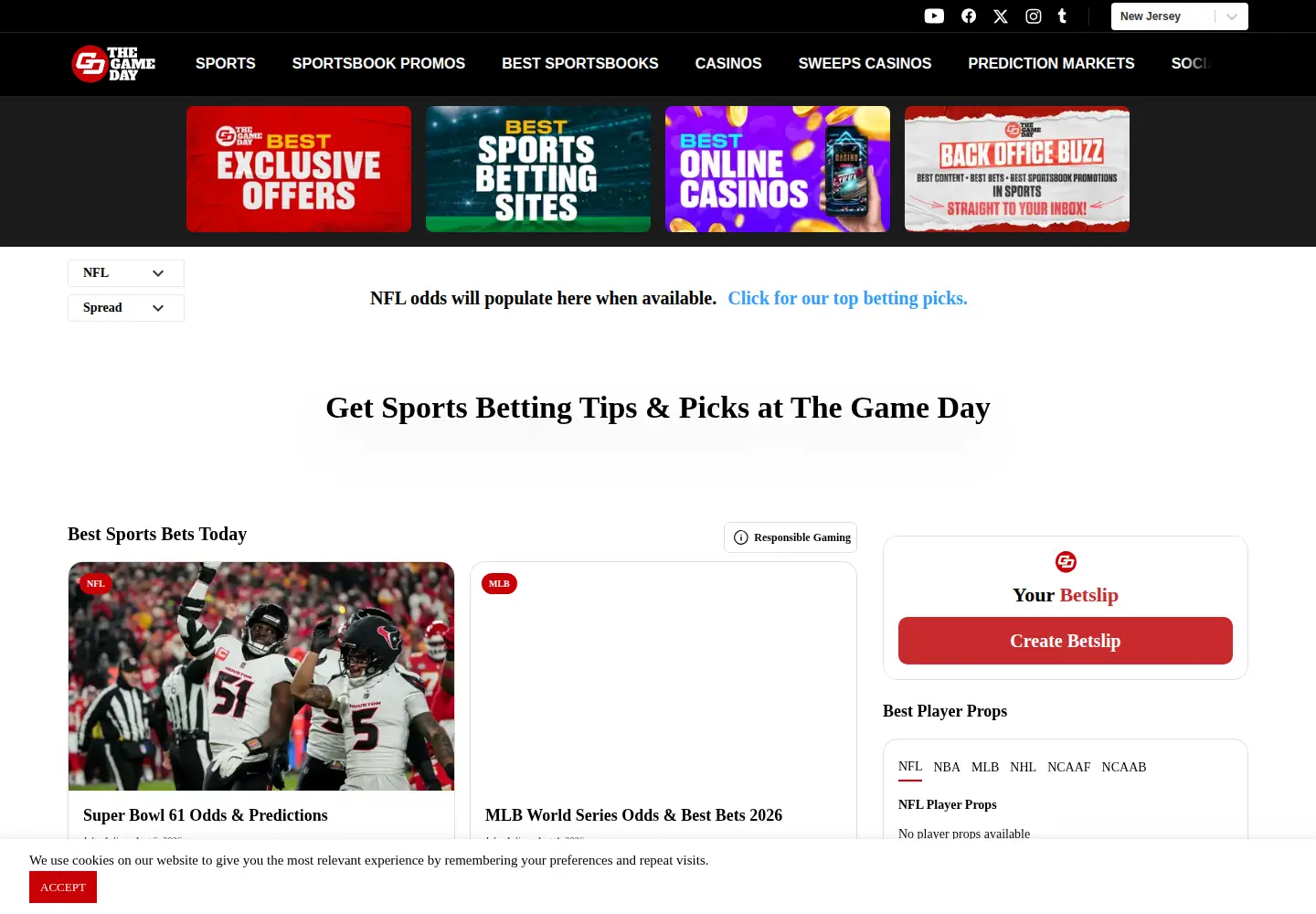 Screenshot of thegameday.com