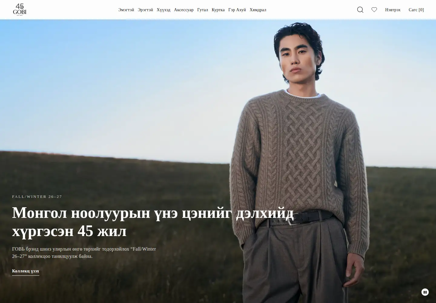 Screenshot of gobi.mn