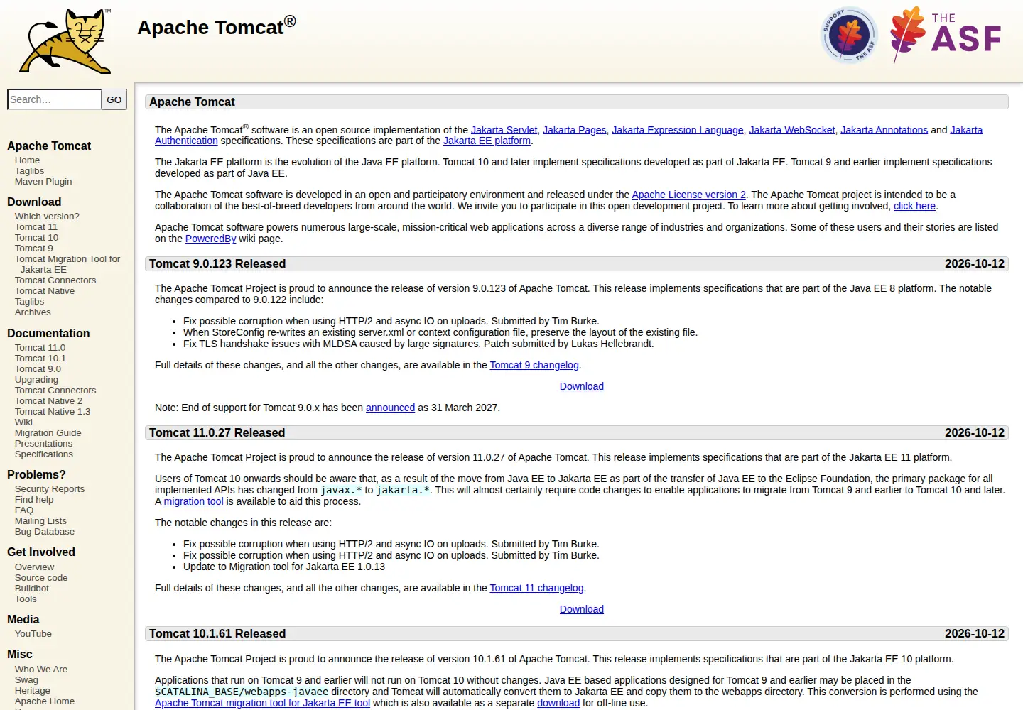 Captured homepage of tomcatexpert.com in the current scan