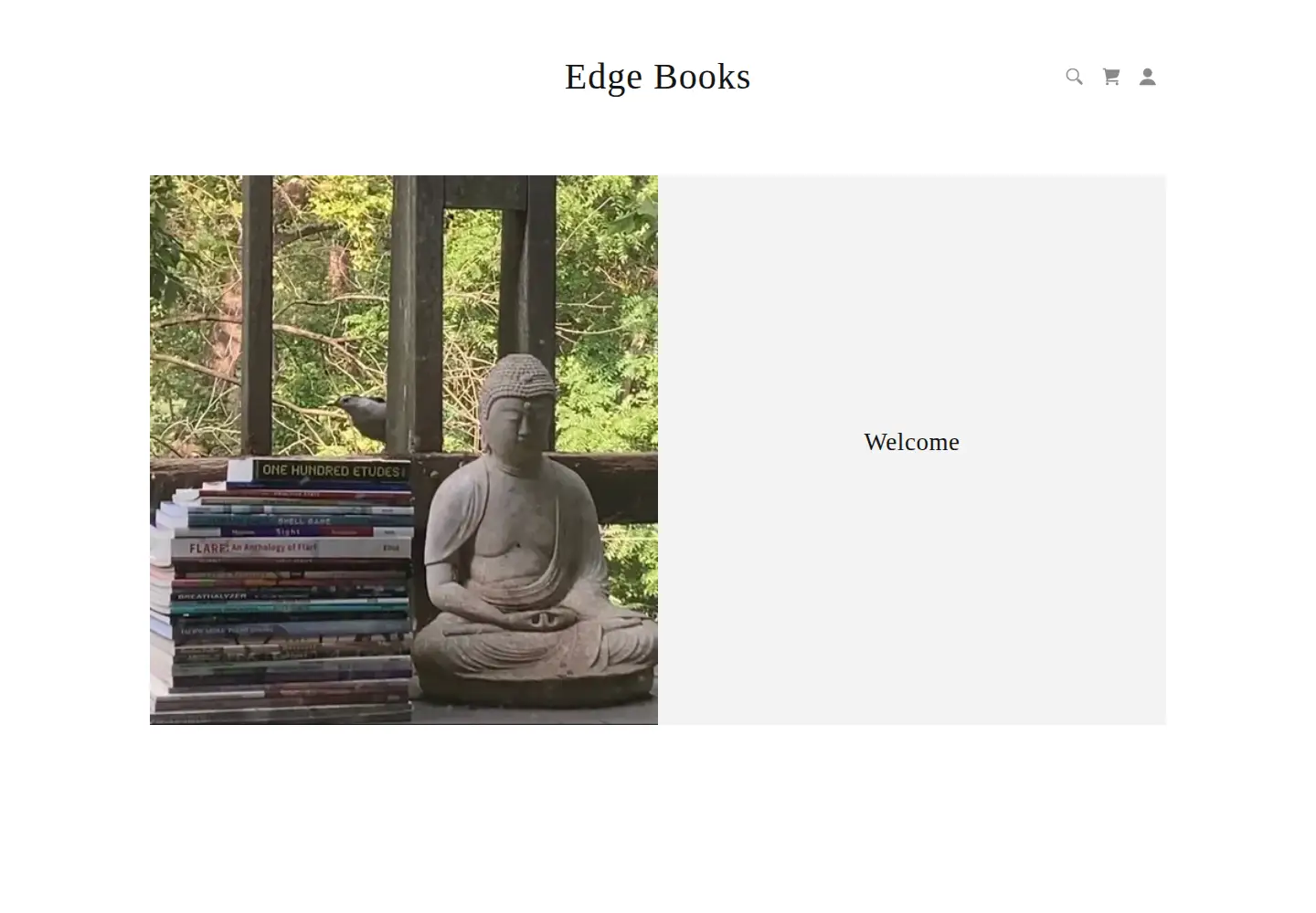 Screenshot of aerialedge.com