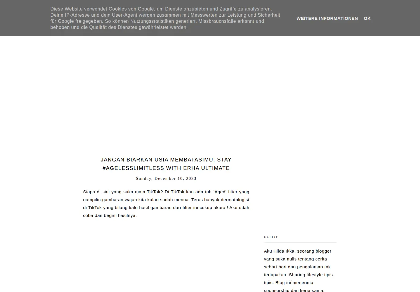 Captured homepage of hildaikka.com in the current scan