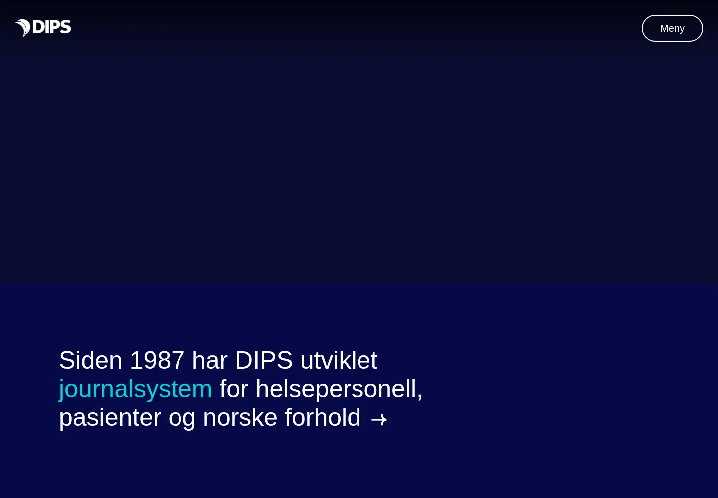 Screenshot of dips.no