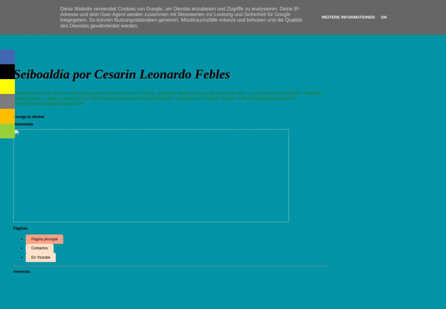 Screenshot of seiboaldia.com