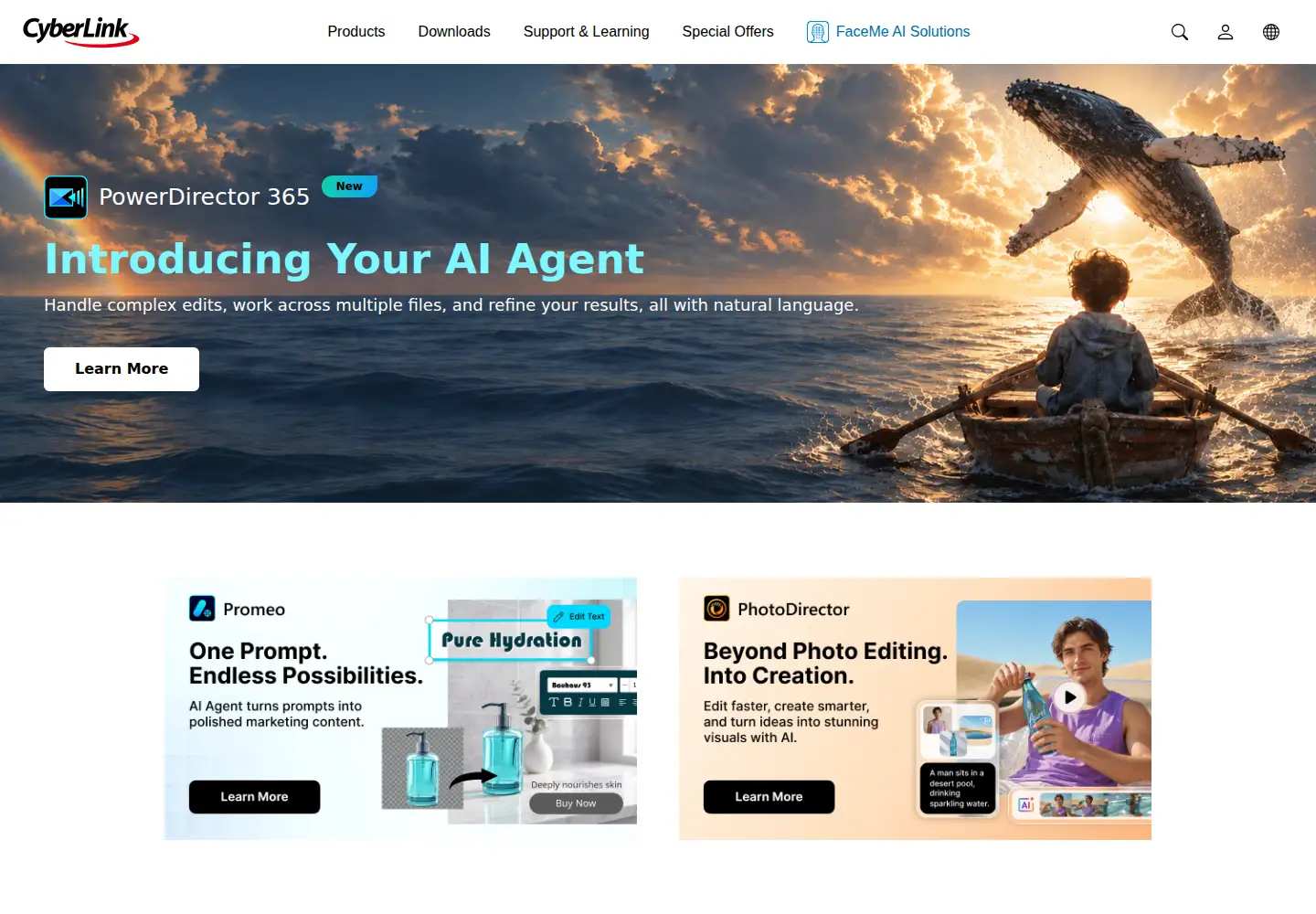 Screenshot of cyberlink.com