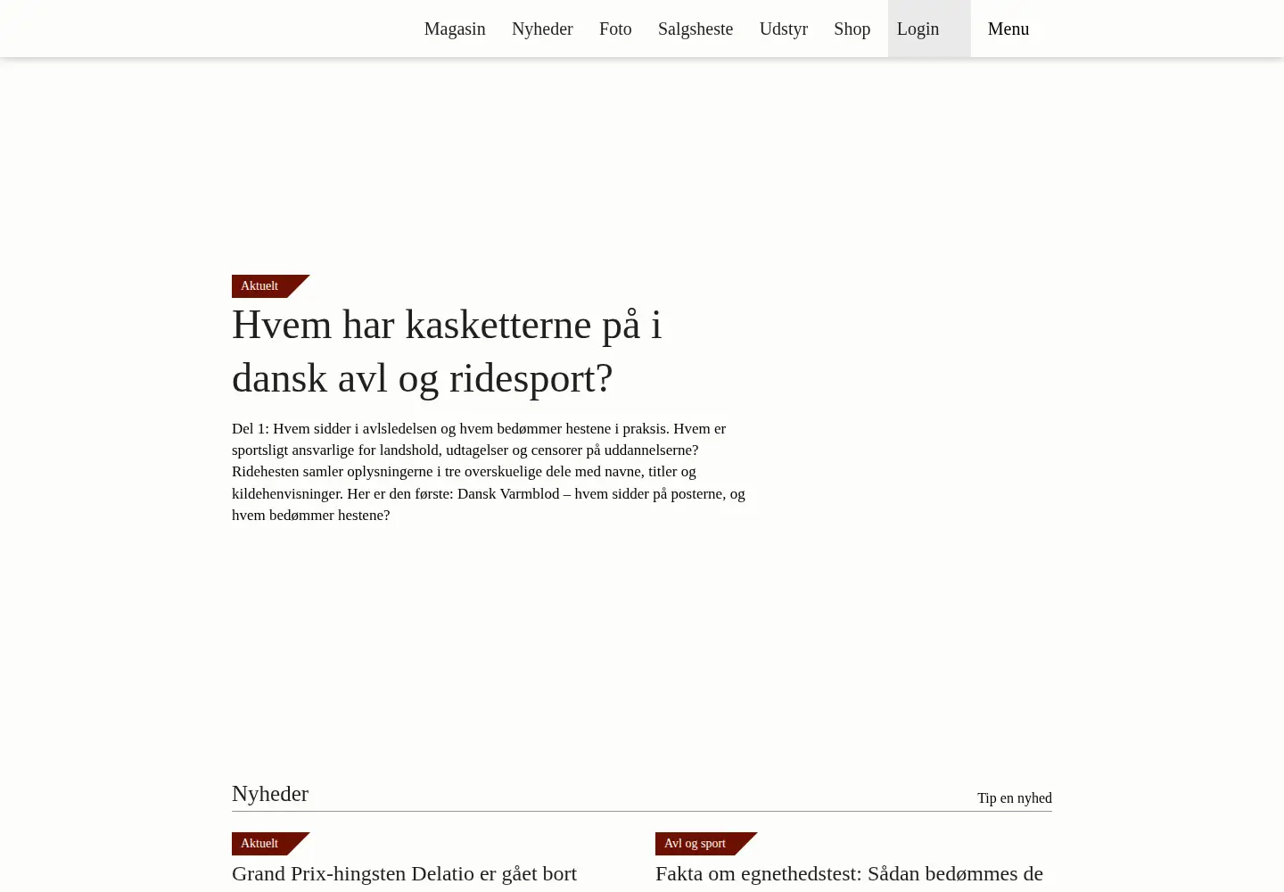 Screenshot of ridehesten.com