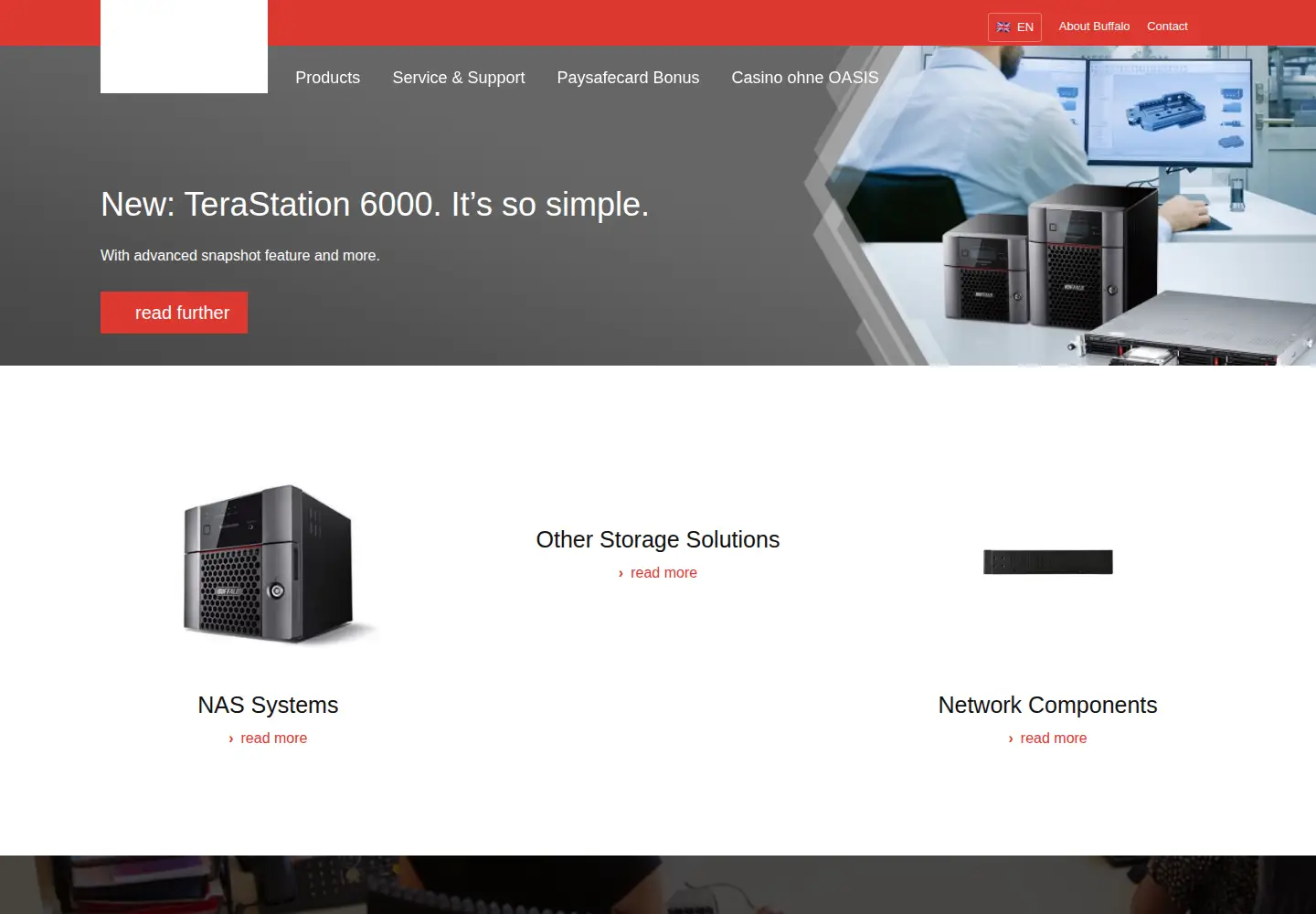 Captured homepage of buffalo-technology.com in the current scan