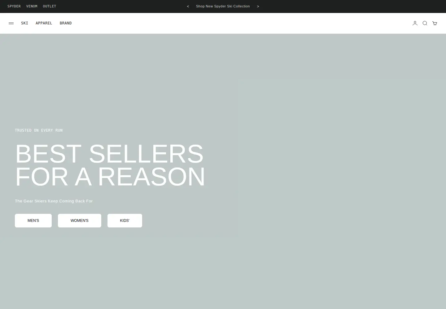 Captured homepage of spyder.com in the current scan
