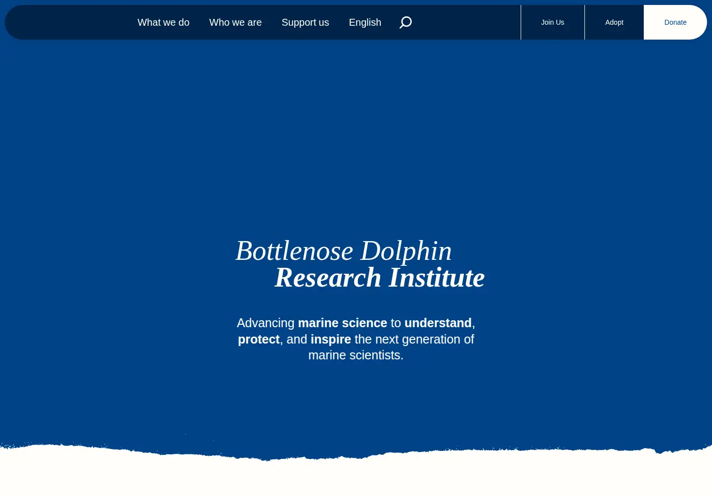 Screenshot of thebdri.com