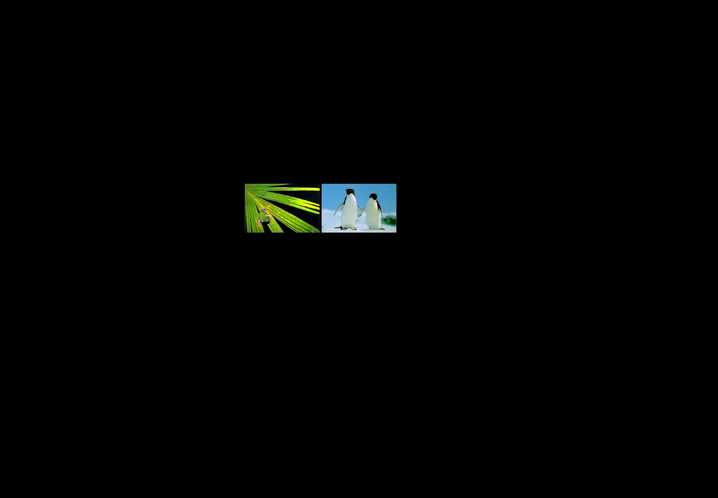 Screenshot of kevinschafer.com