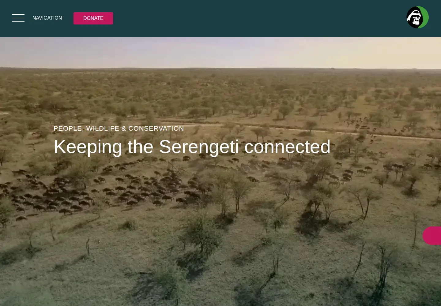 Screenshot of serengeti.org