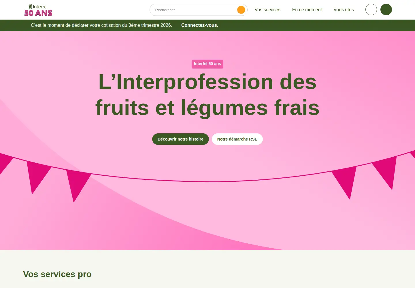 Screenshot of interfel.com