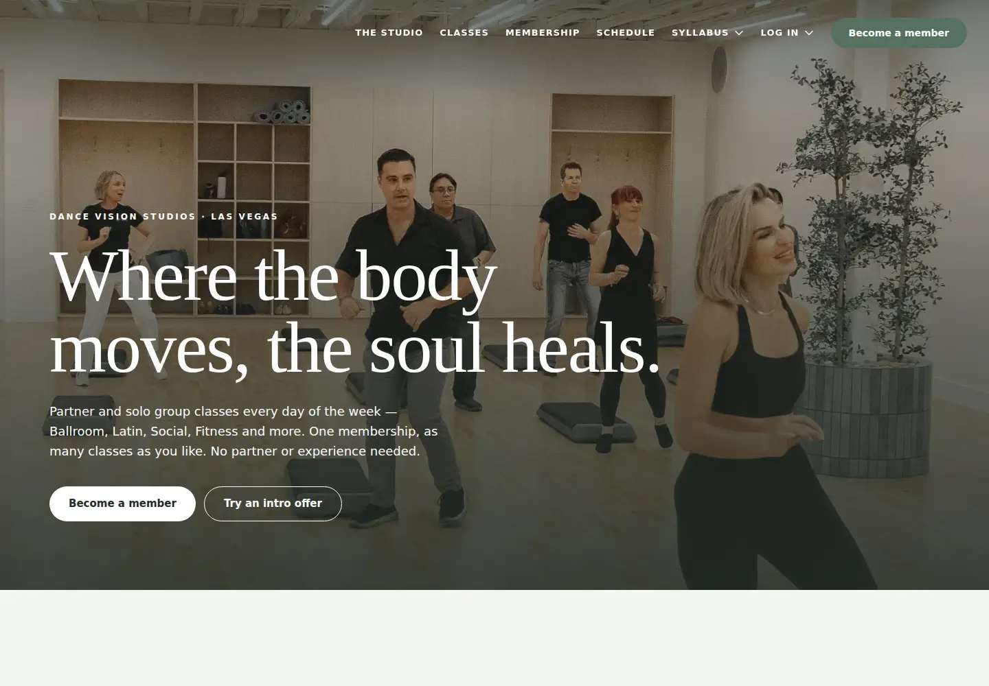 Captured homepage of dancevision.com in the current scan