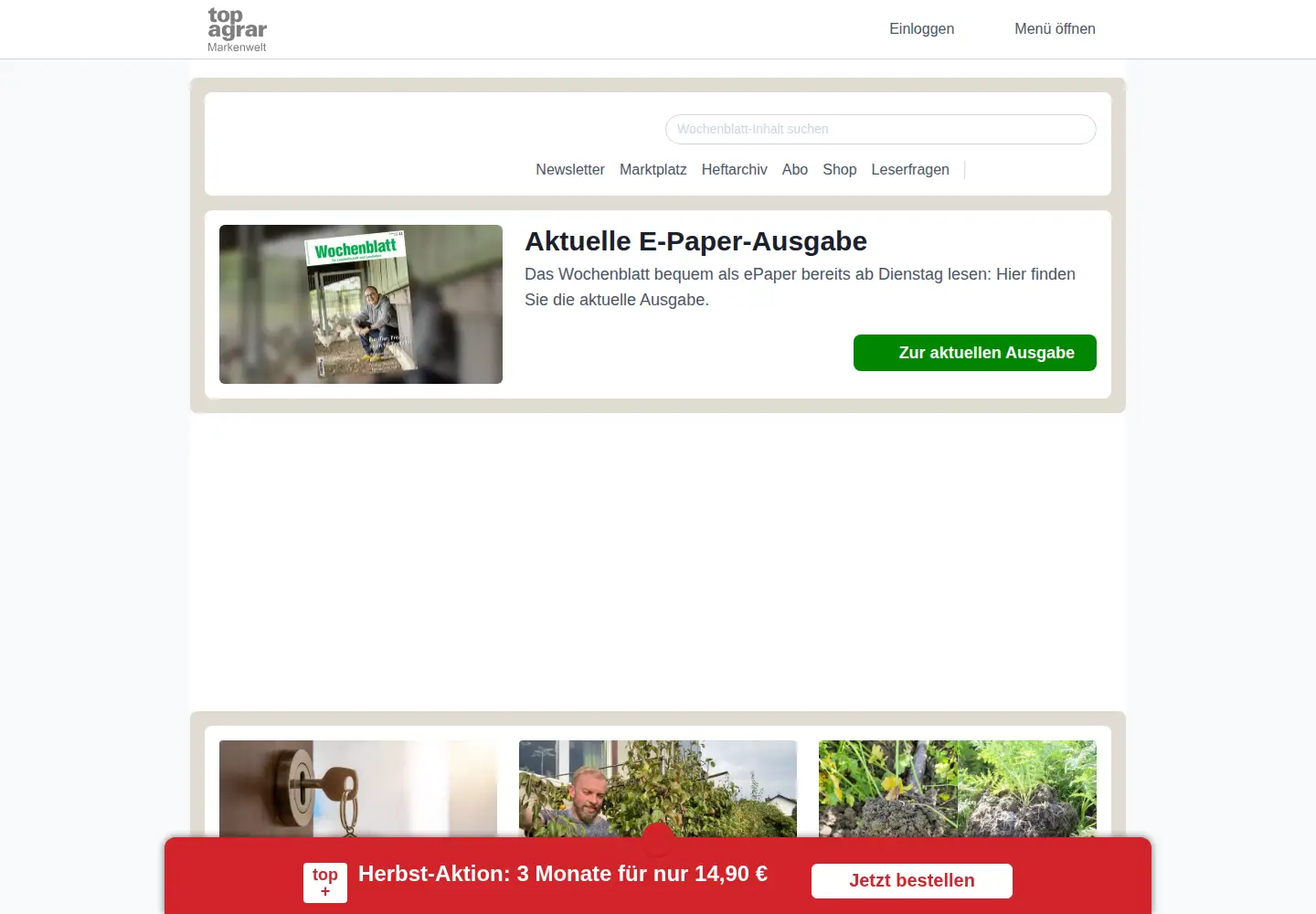 Screenshot of wochenblatt.com
