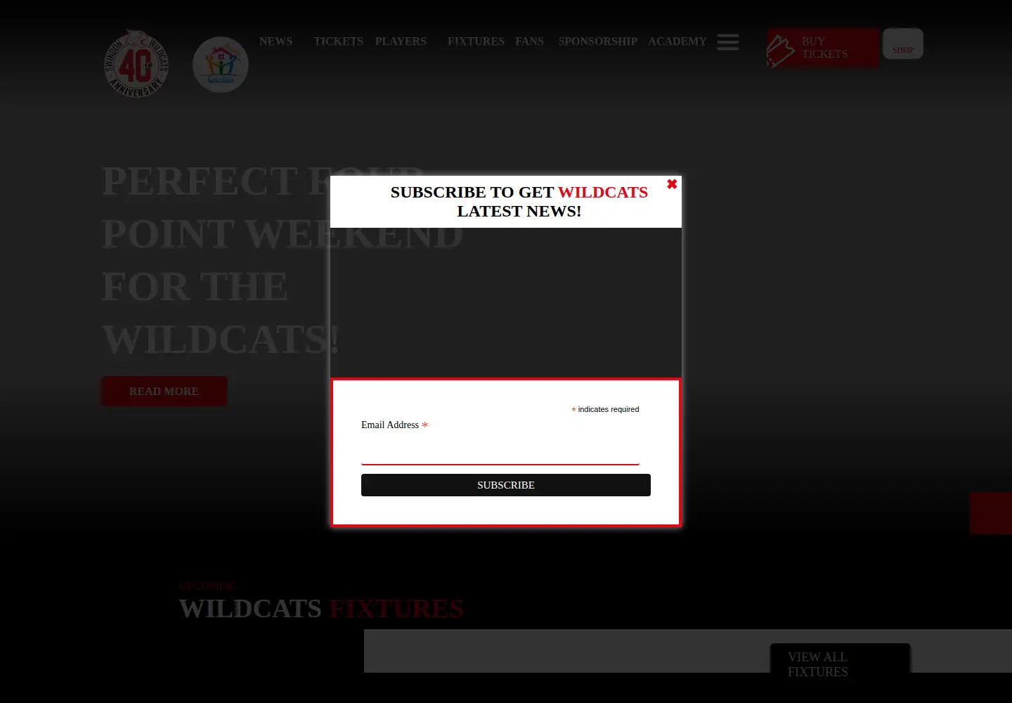 Screenshot of swindonwildcats.com